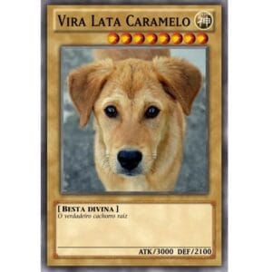 cachorro do yugioh